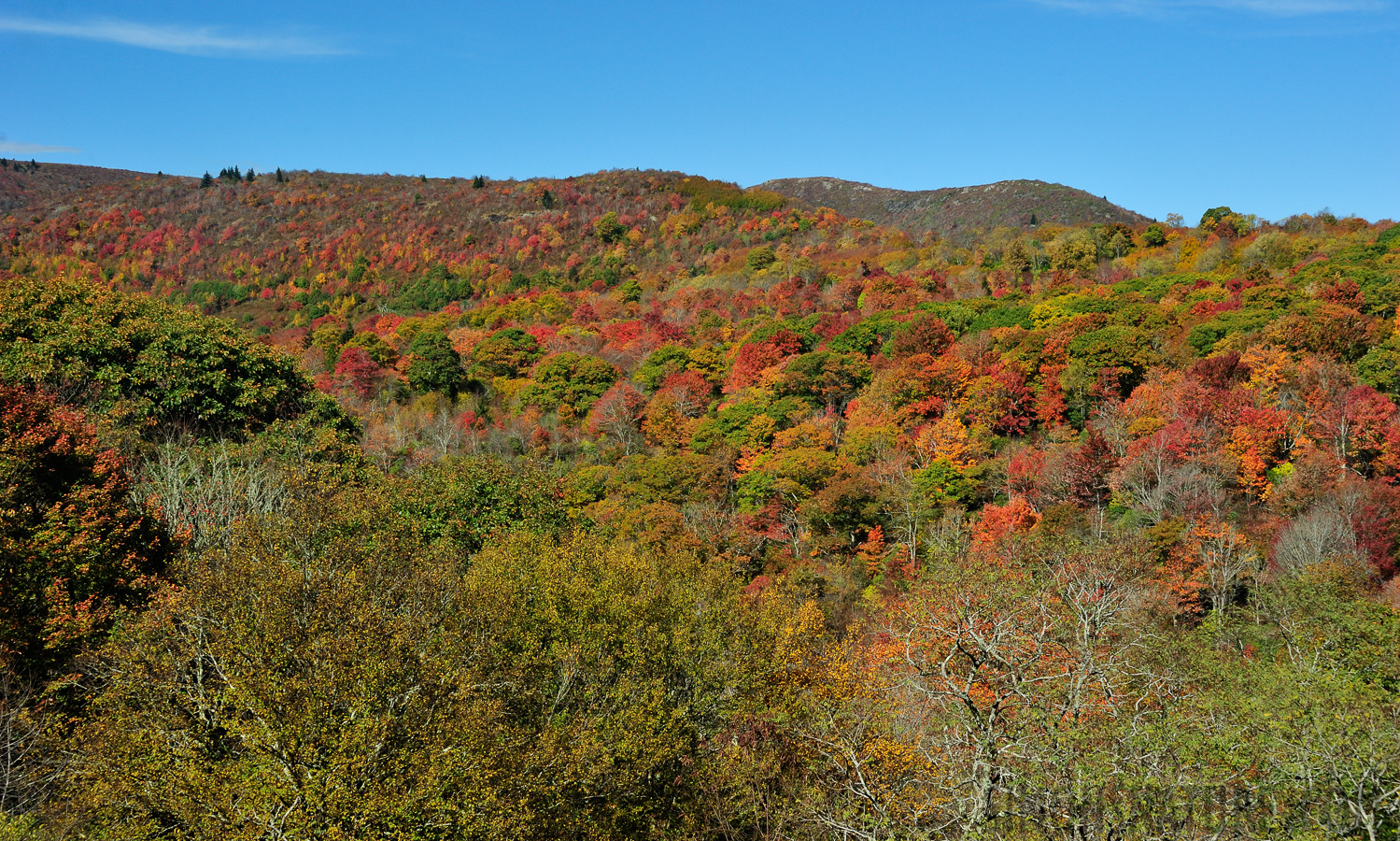 Blue Ridge Parkway [56 mm, 1/160 Sek. bei f / 10, ISO 400]